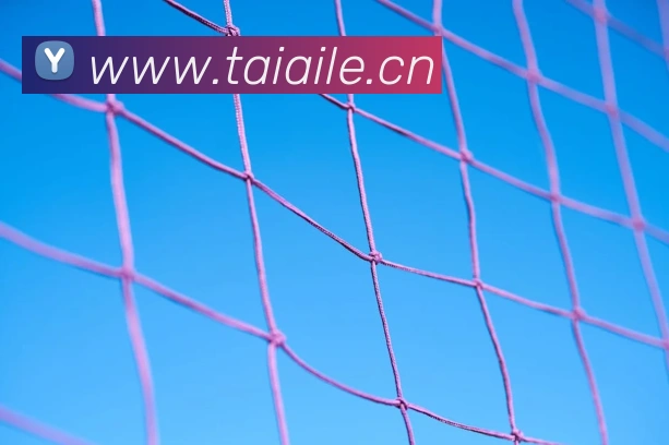 beat365唯一官方网站APP 体育赛事宣传图